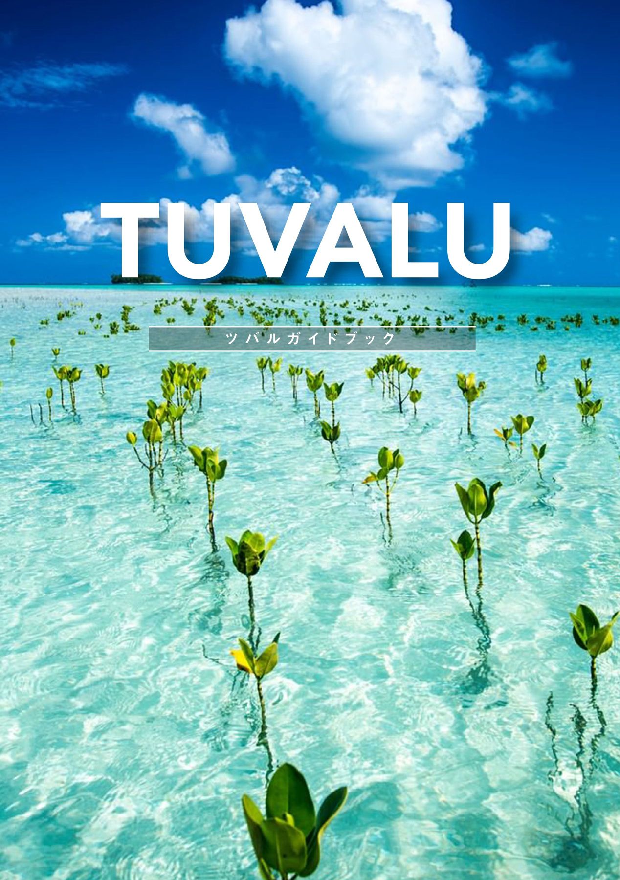 TUVALU 【公式通販】 DVD ツバル TUVALU ツバル　DVD 洋画・外国映画
