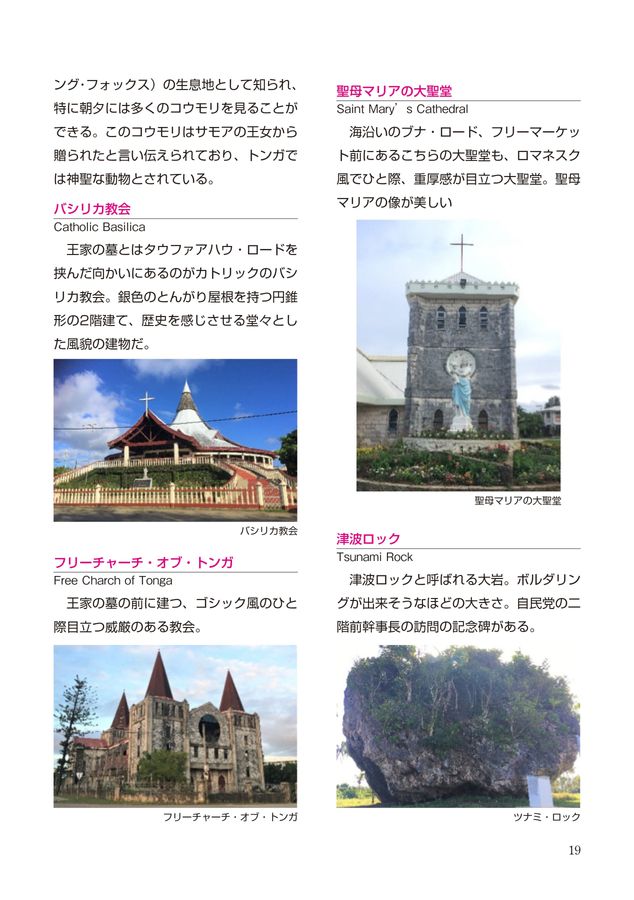 ローカル　トンガ J-17799-2.jpg